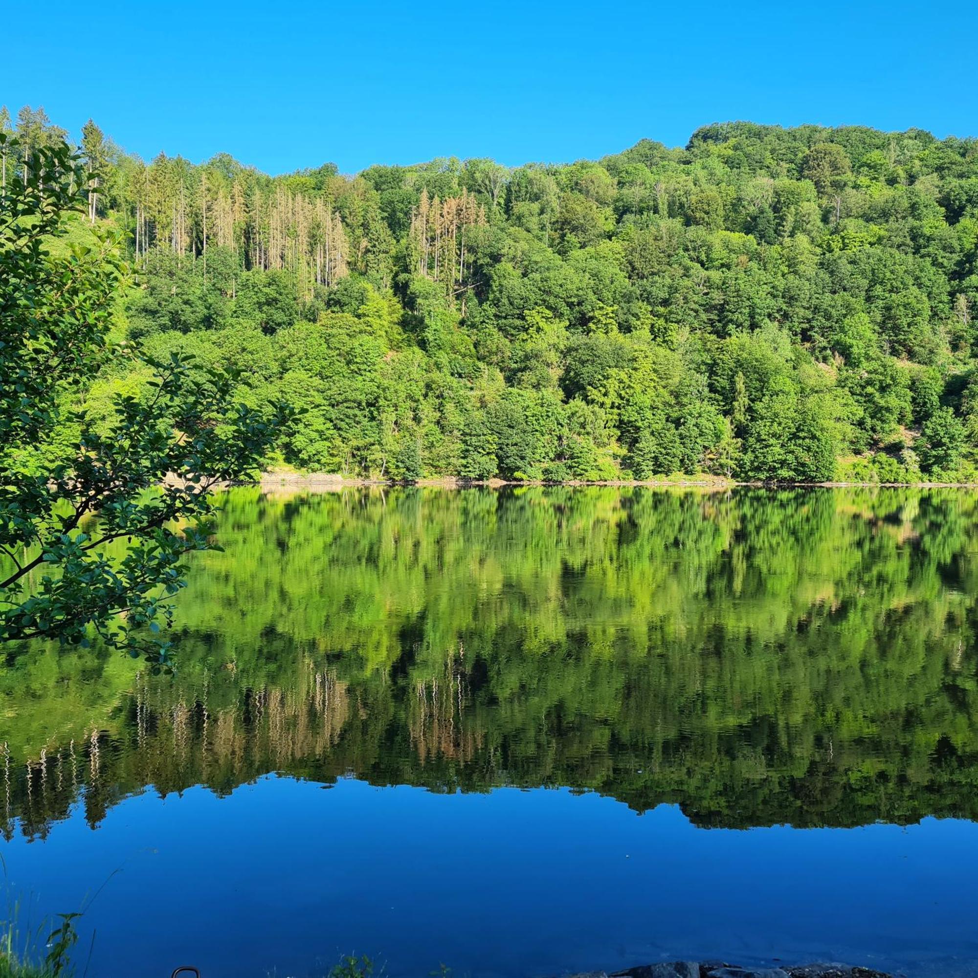 Ferienwohnung Am Rursee -Wohnung 2 Зиммерат Номер фото